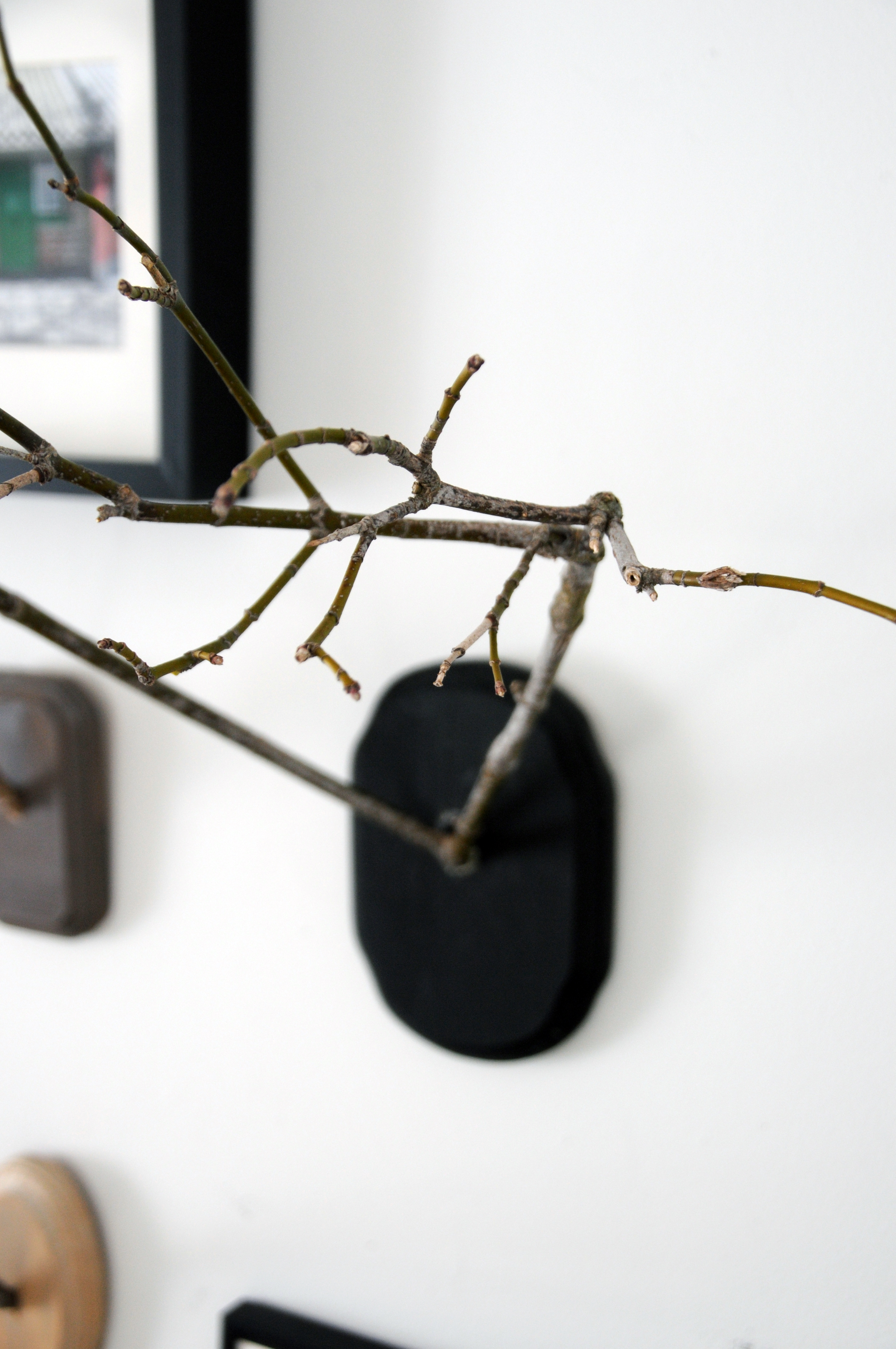 Hand Made: Mounted Twig 'Antlers' | House of Earnest